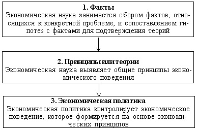 Соотношение между фактами, принципами и политикой в экономике